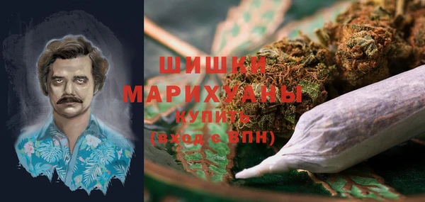 сатива Алексин