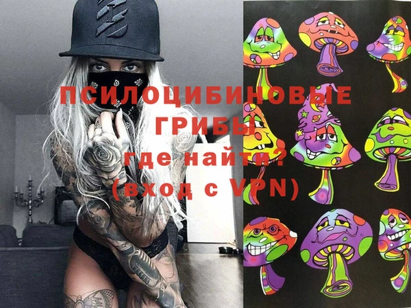 альфа пвп Алексеевка