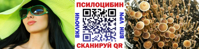 Галлюциногенные грибы Psilocybine cubensis  мега   Нытва  как найти  